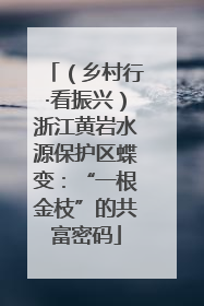 （乡村行·看振兴）浙江黄岩水源保护区蝶变：“一根金枝”的共富密码